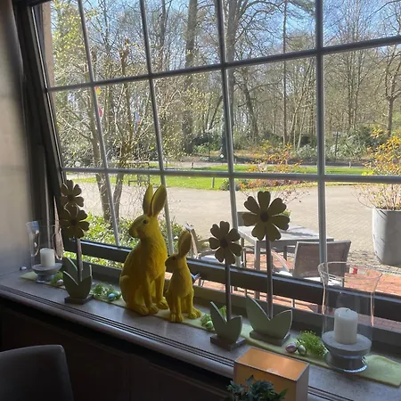 מלון Parkhotel Hohenfeld מונסטר