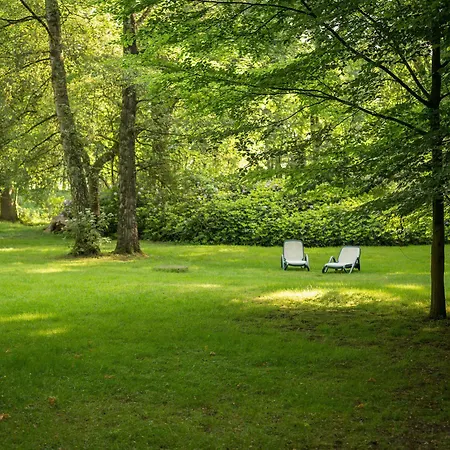 Parkhotel Hohenfeld Hotell